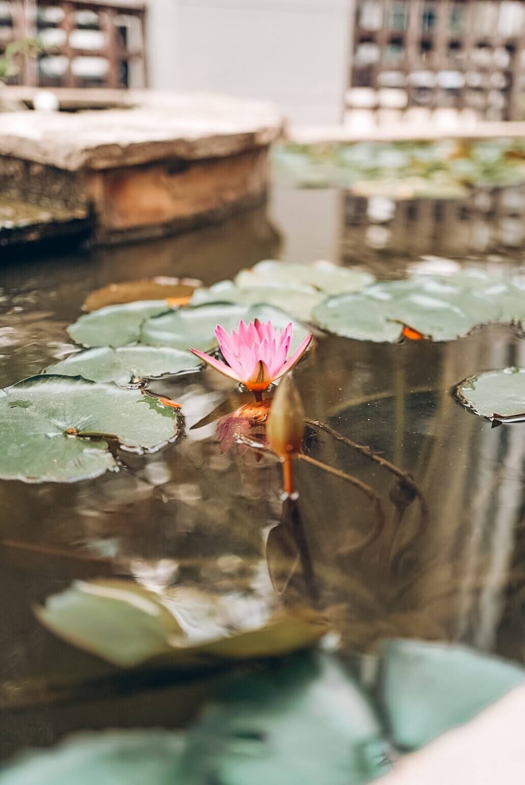 finding purpose